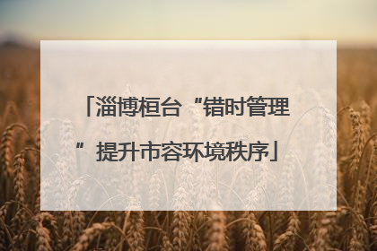 淄博桓台“错时管理”提升市容环境秩序